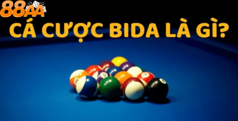 Cá cược Bida là gì?